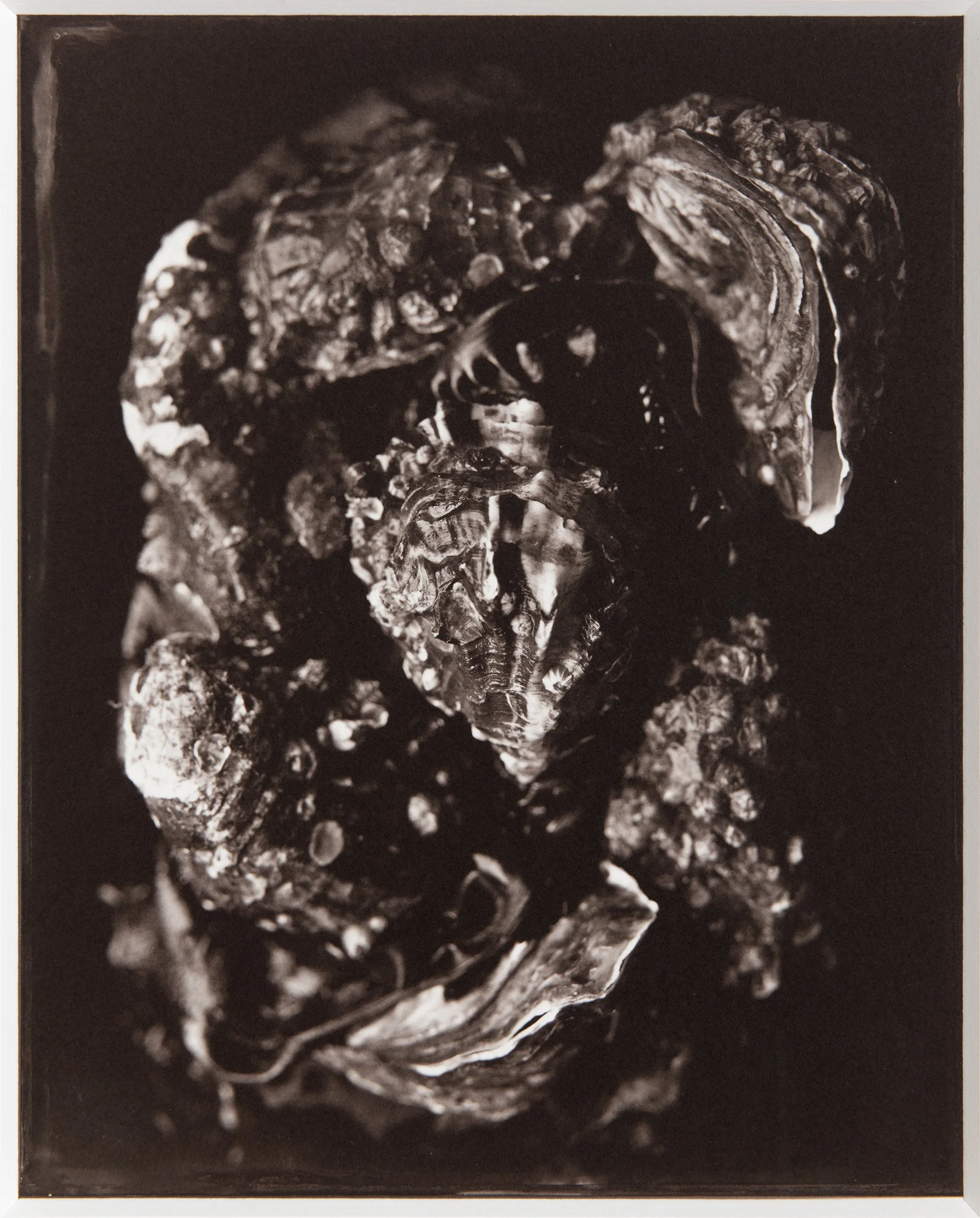 Salty Heart, 8x10" Salt Print, from a wet collodion glass negative.