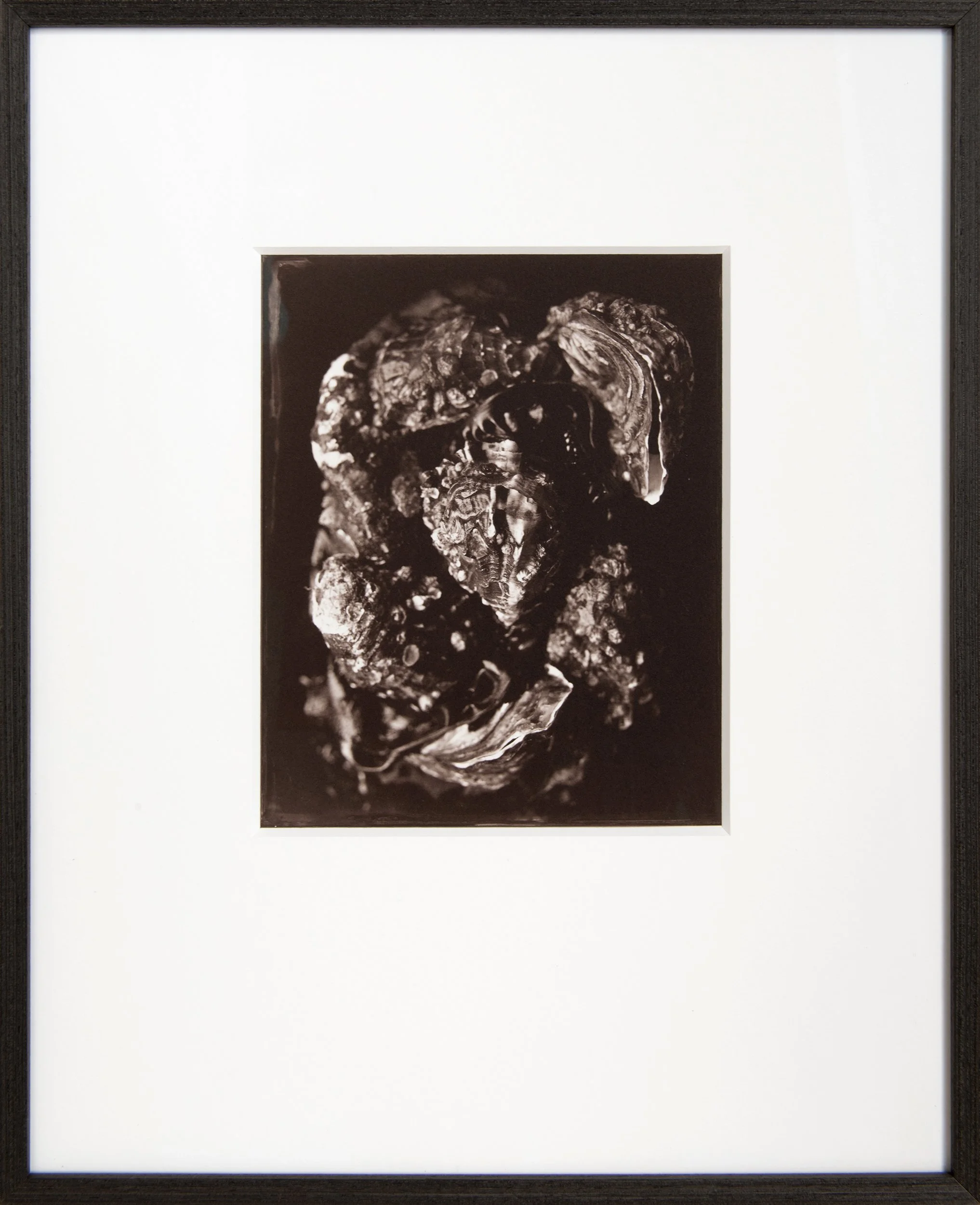 Salty Heart , 8x10" Salt Print from a wet collodion glass negative . Custom framed . (edition of 3).