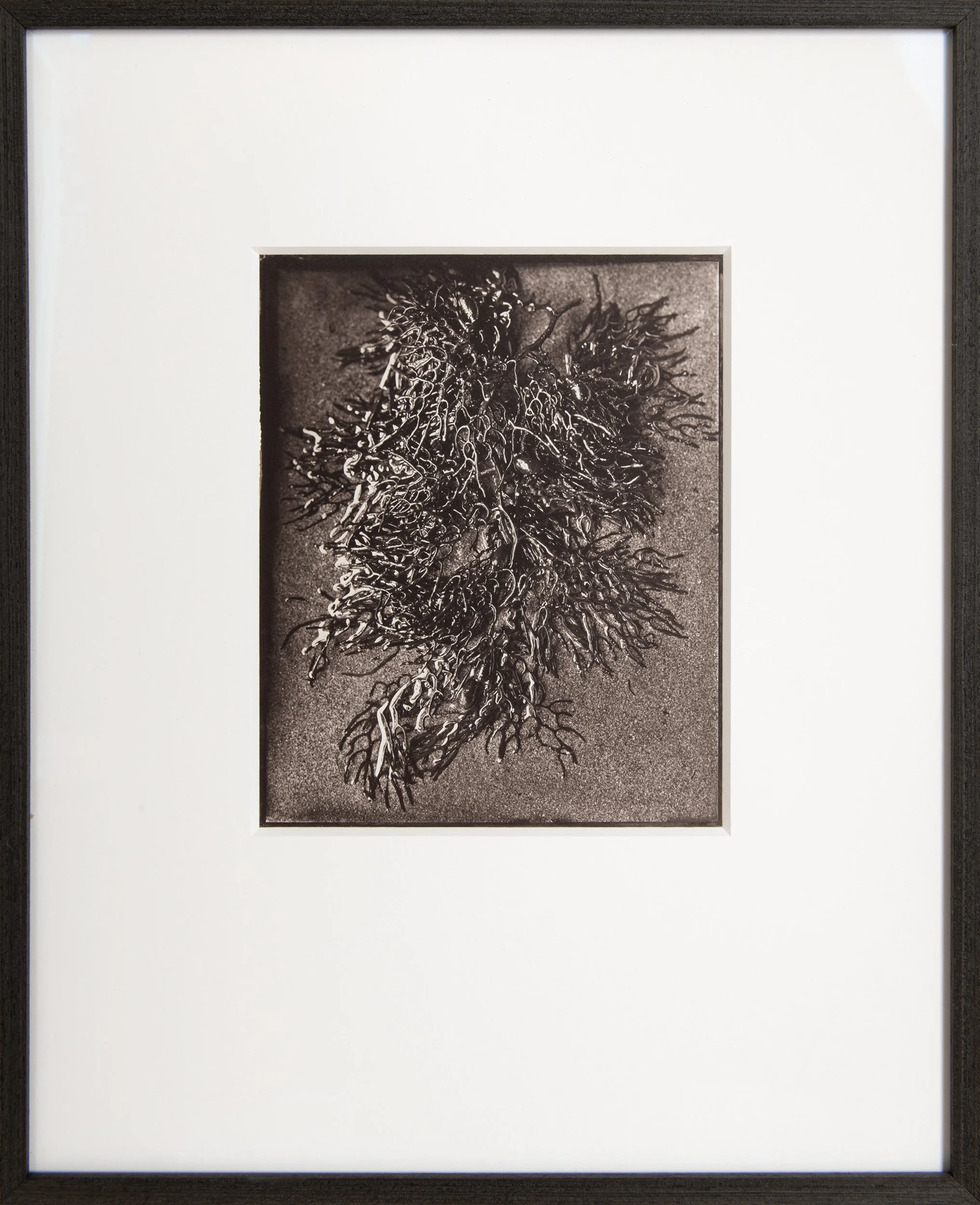Rivulets , 8x10" Salt Print from a wet collodion glass negative . Custom framed . 
(edition of 3).