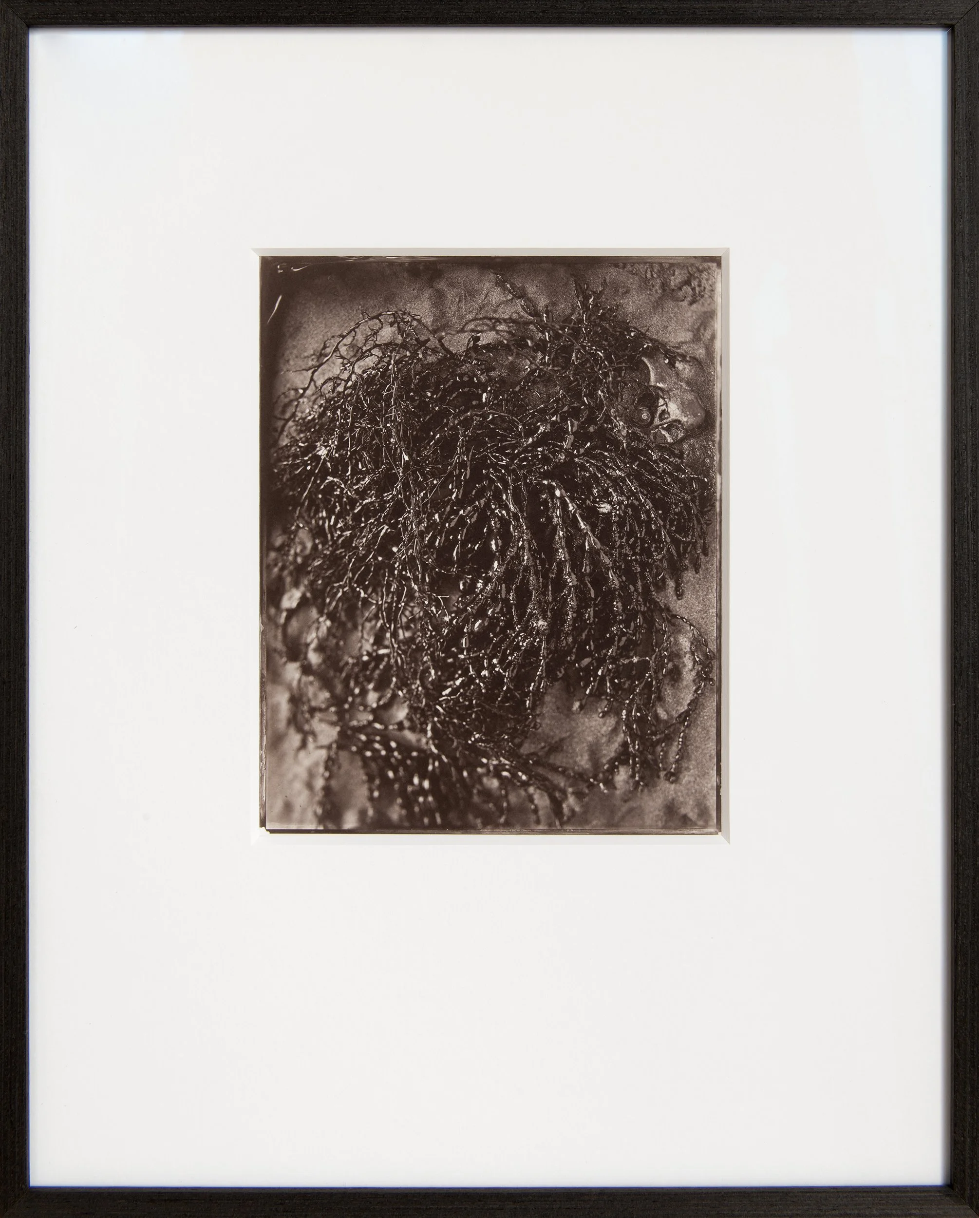 Low Tide , 8x10" Salt Print from a wet collodion glass negative . Custom framed . 
(edition of 3).