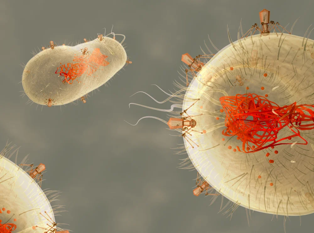 Technology phage.jpg