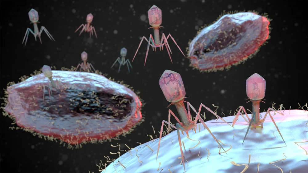 Advisory phage.jpg