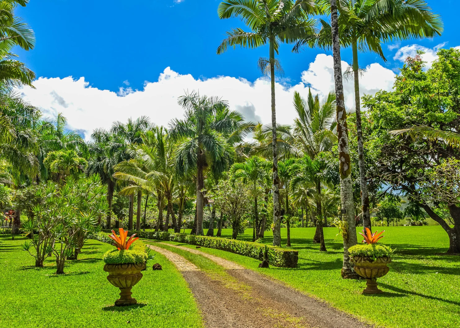 1. Property Main Gated Entrance2.JPG