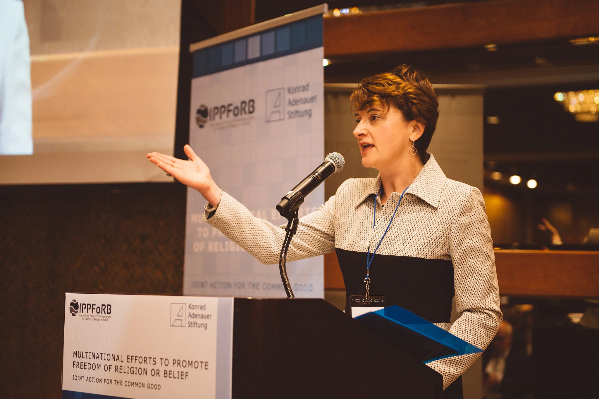 IPPFoRB Steering Group condemns appalling violence in Myanmar’s Rakhine State