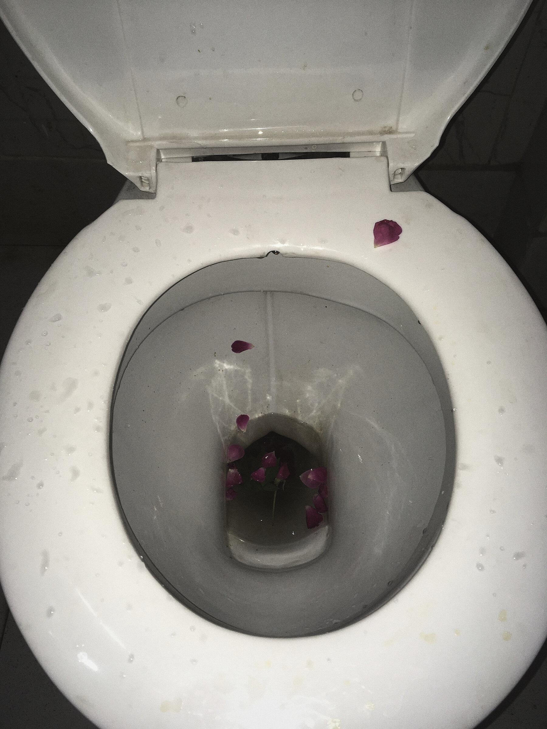 Bloody Vomit In Toilet