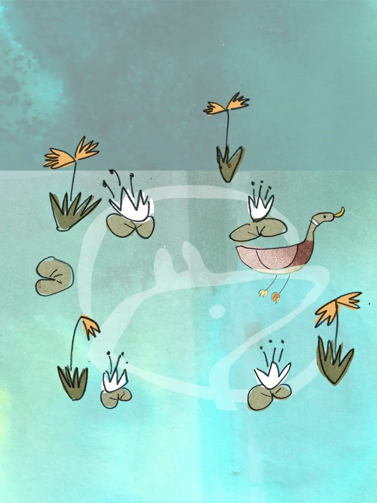 bear_duckpond.jpg