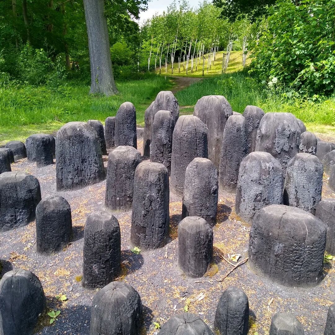This week I visited Yorkshire and @yspsculpture. It was wonderful and I really fell for this David Nash piece, with the silver birch planted nearby to mirror it. When people ask "what's the point of Art?" I usually offer up a few options &q