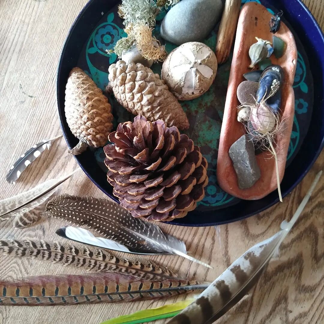 A few of my favourite things, all found while out walking (even the tray ☺️).
.
#foundobjects #objetrouv&eacute; #naturetable #showandtell #walking