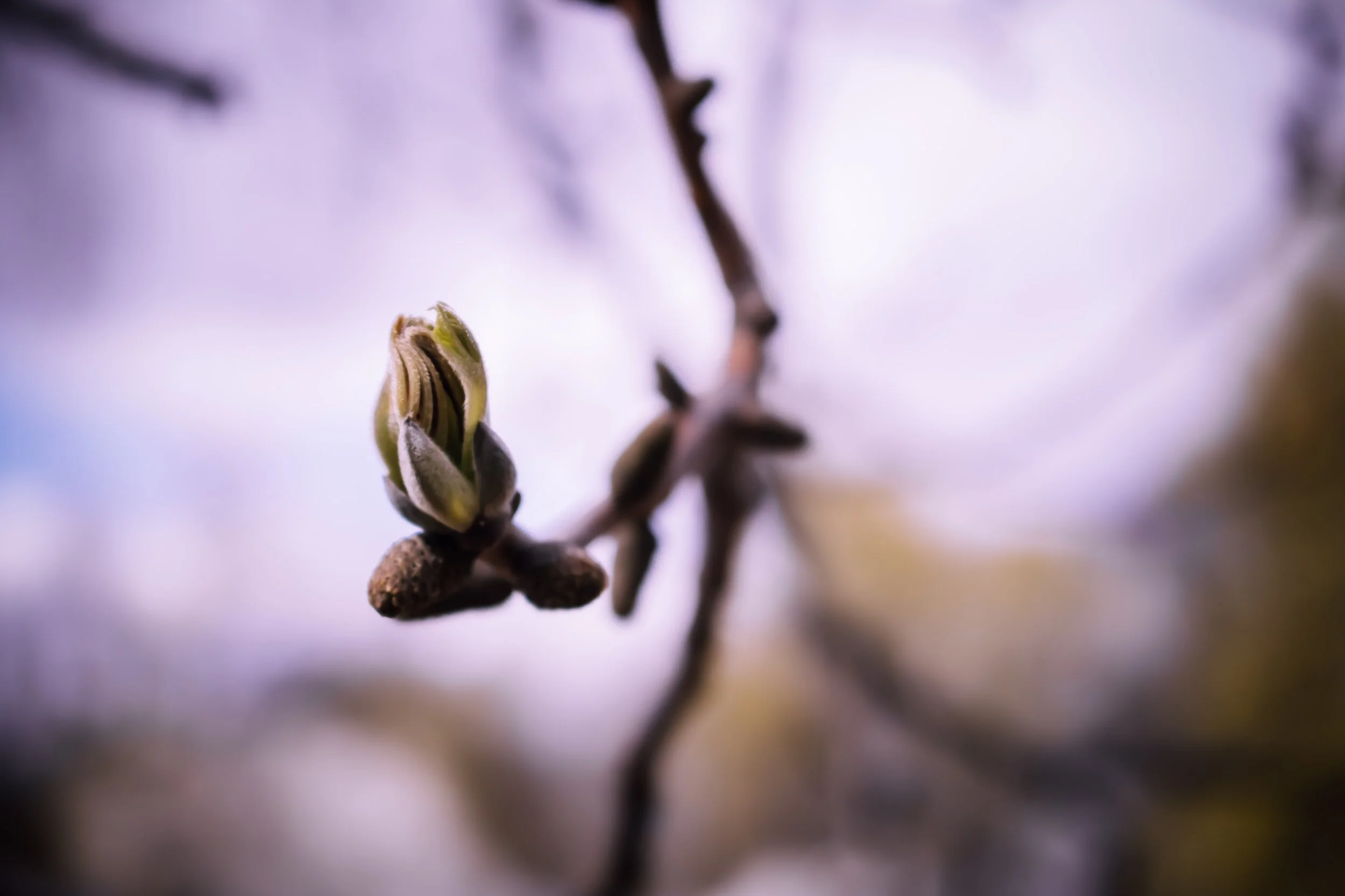 unsplash-image-cLuvDtAbU5k.jpg