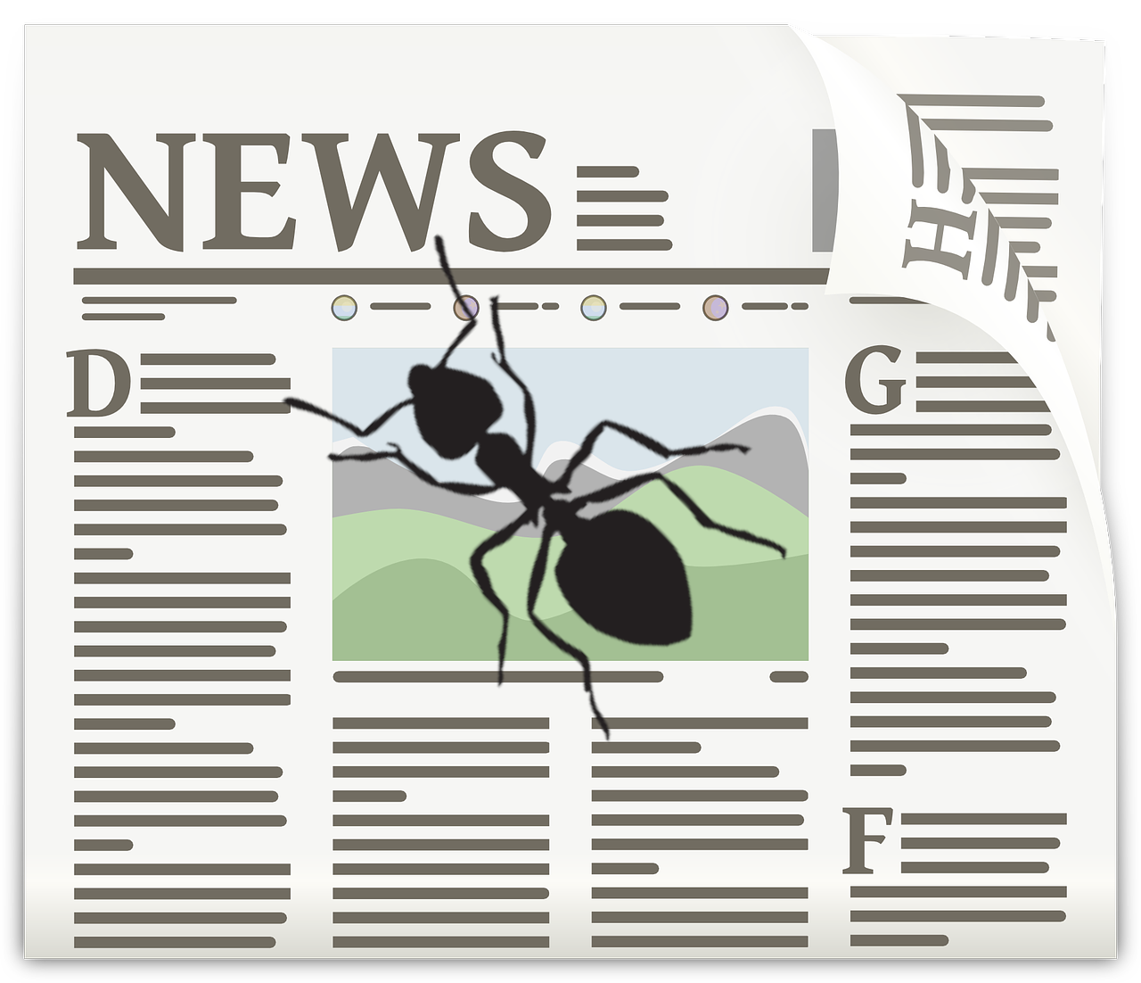 News.png