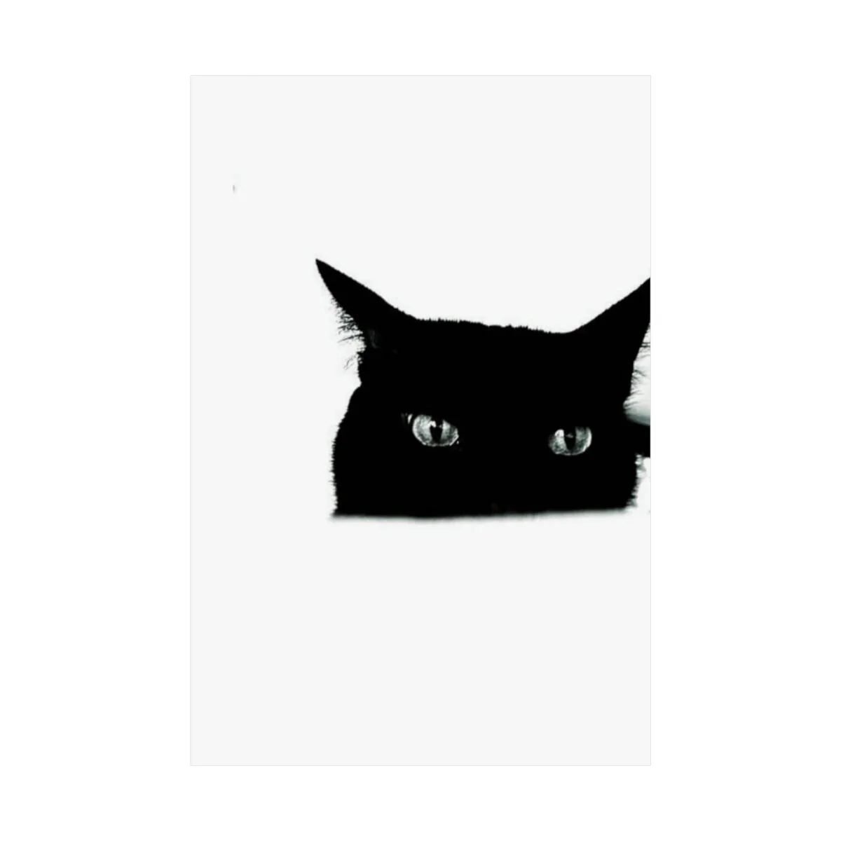 0be2506fa9c701fc0e053e30653cfd74