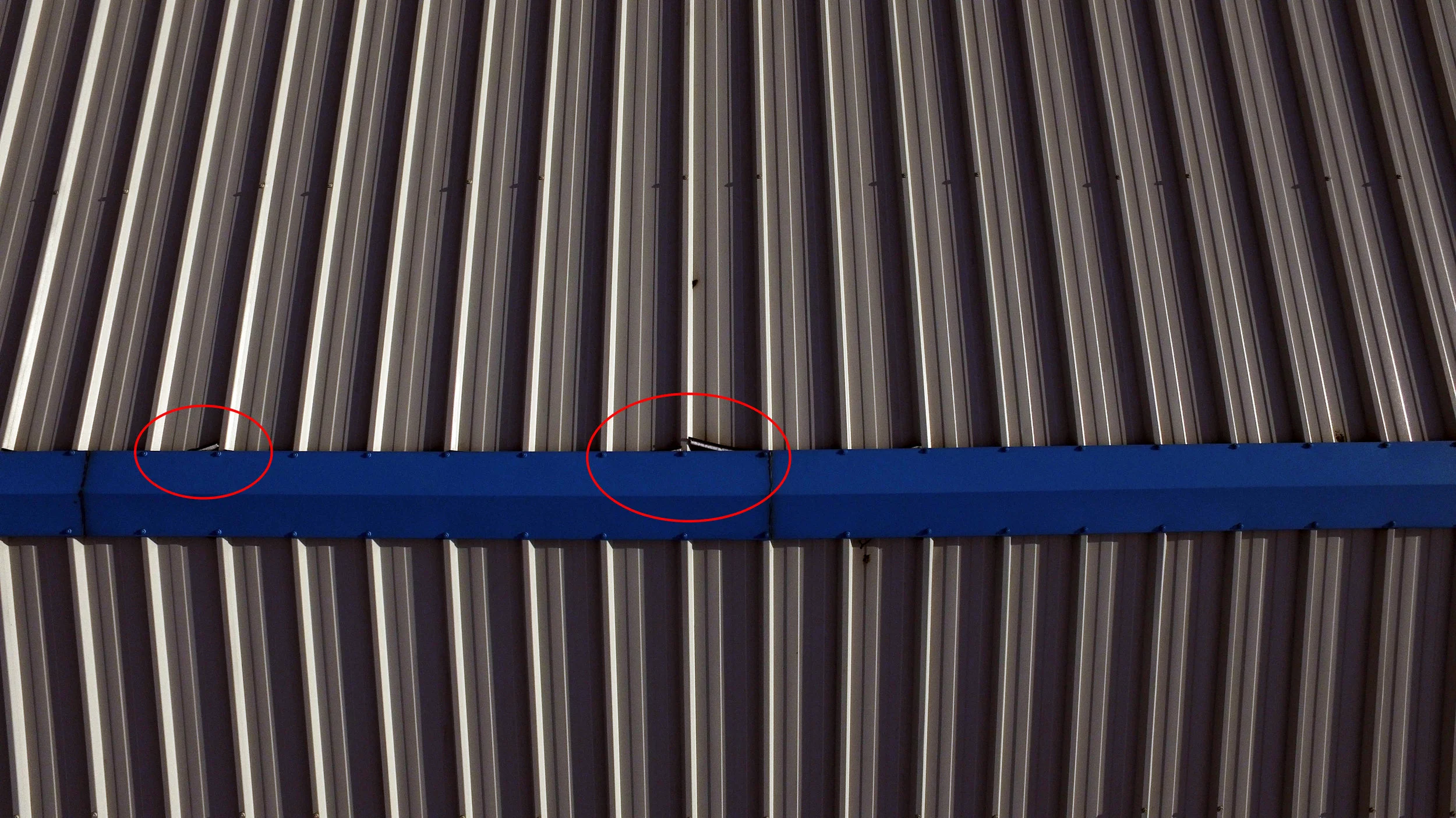 mcgon roof near.jpg