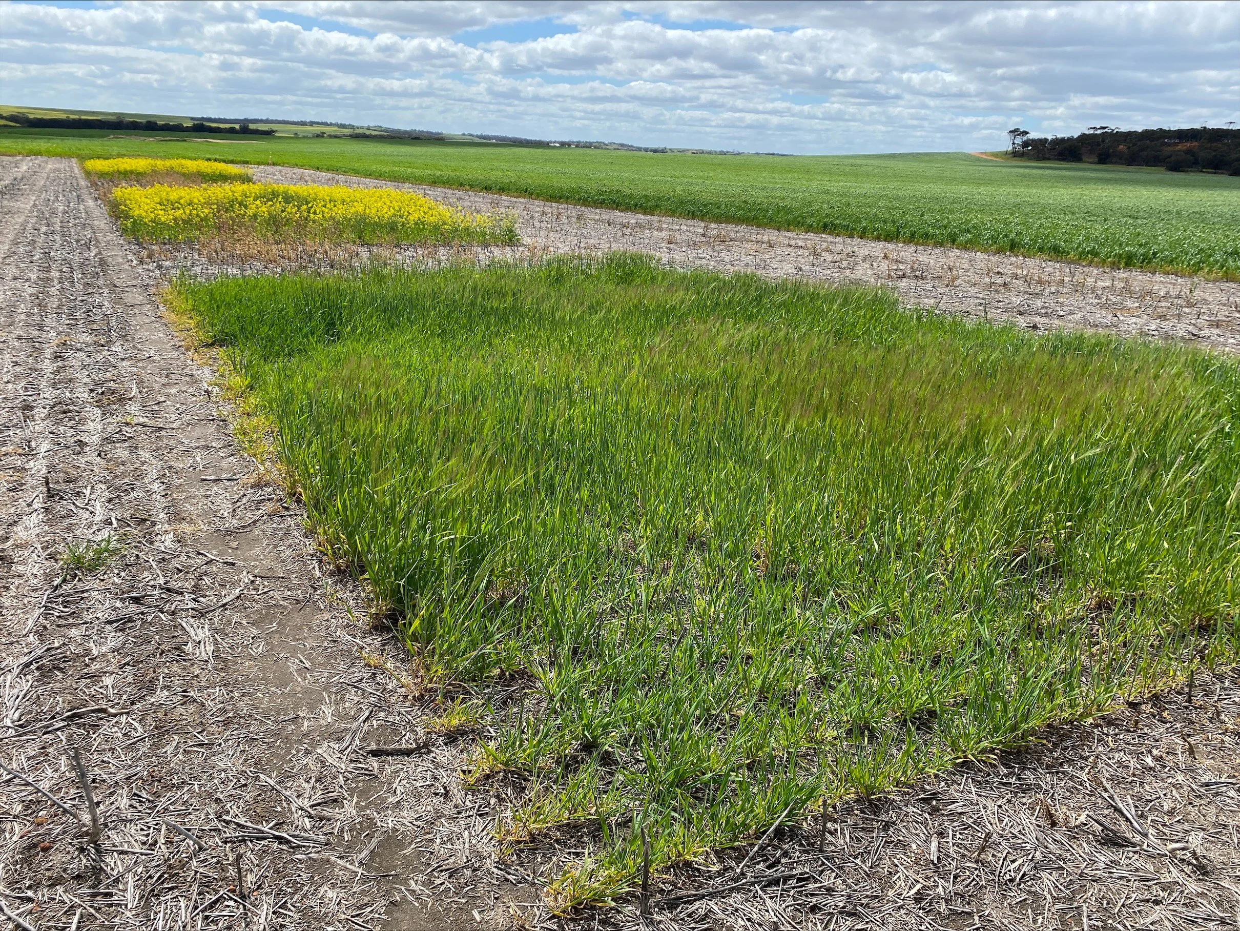 20250918 site check (r1).jpg