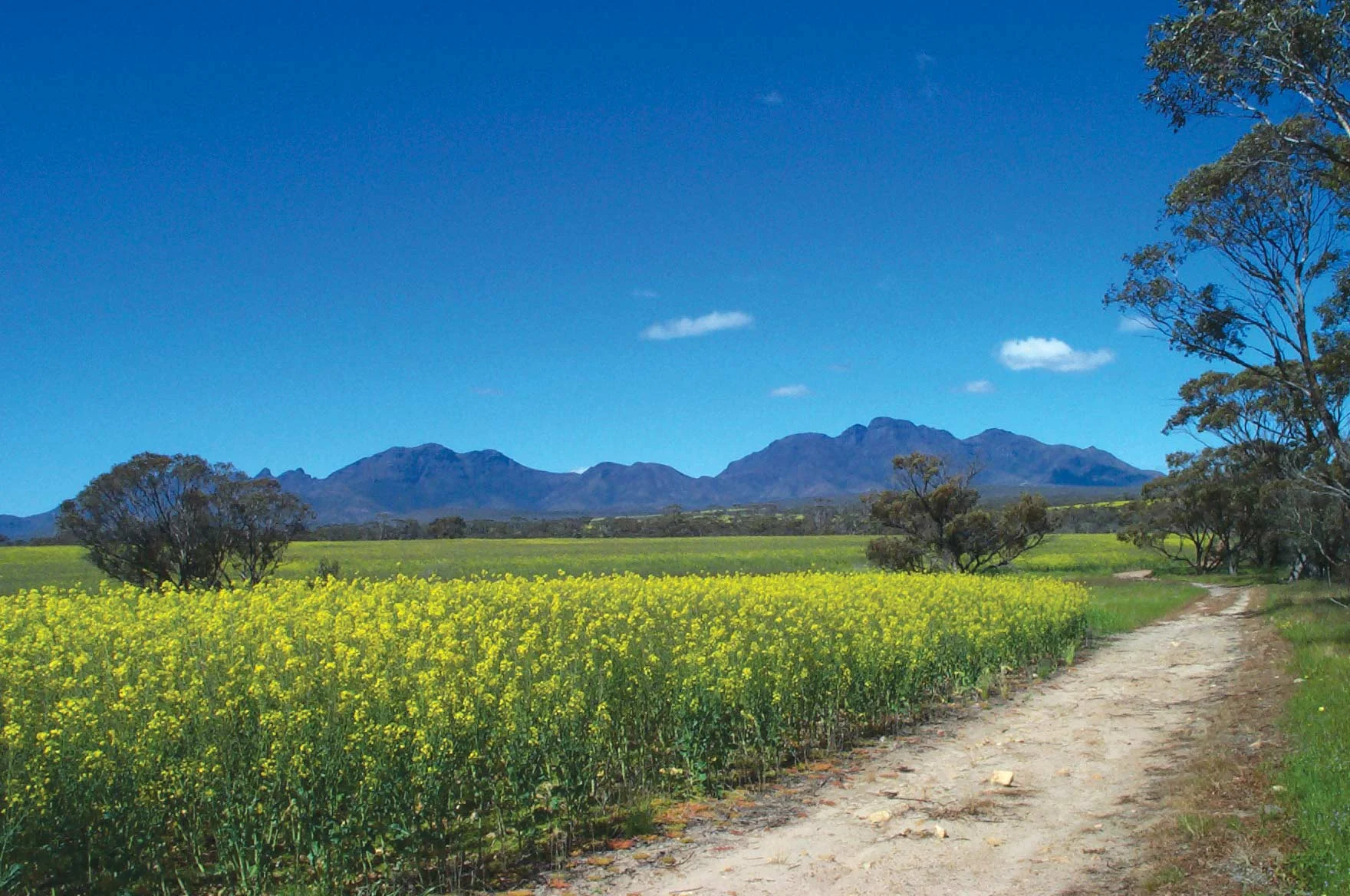 north-stirlings-pallinup-natural-resources-stirling-ranges.jpg