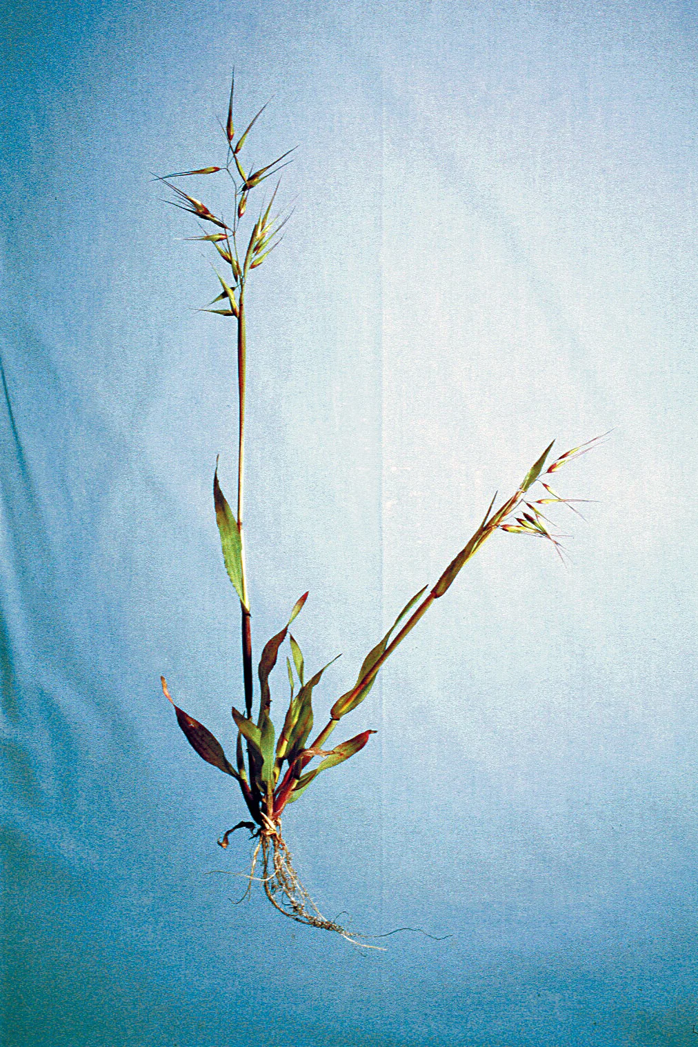 D31N022.jpg