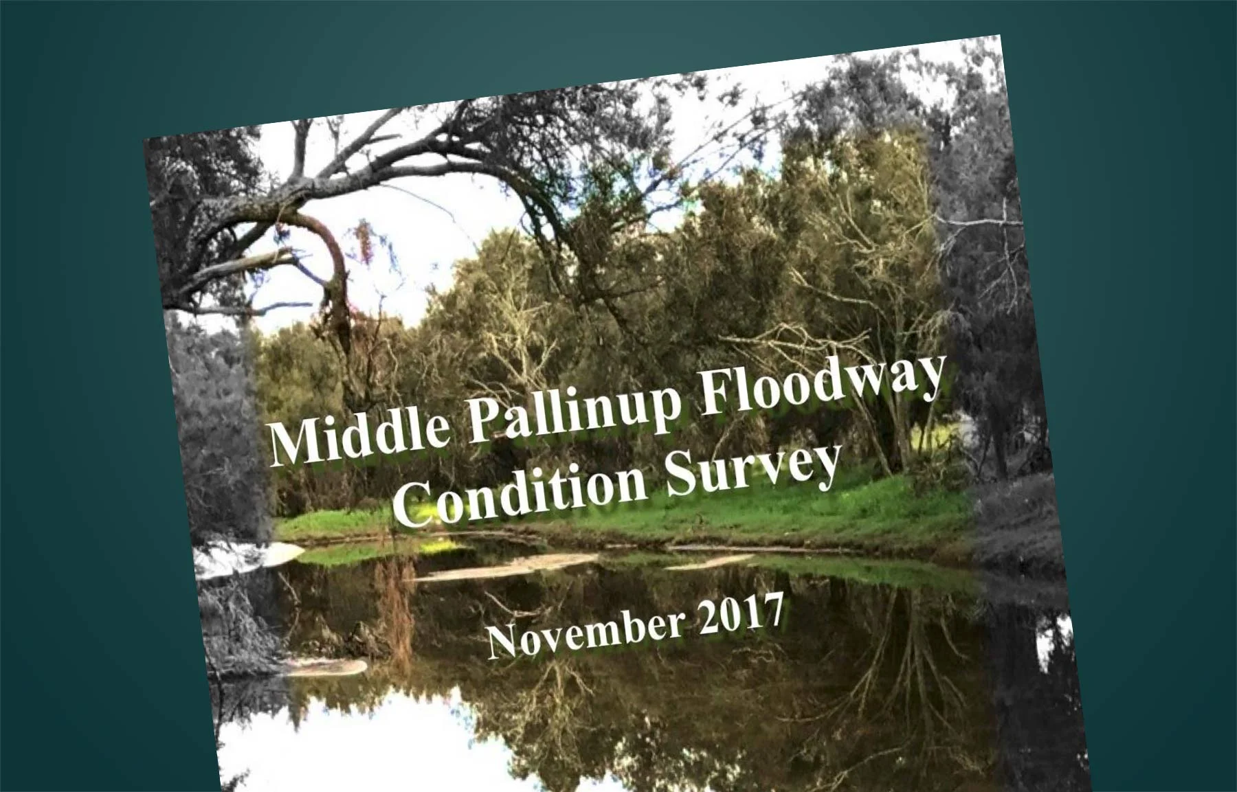 Middle Pallinup Floodway Condition Survey 2017
