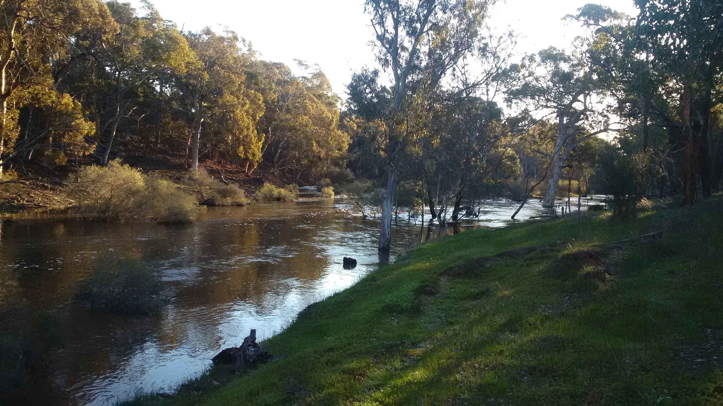 Implementing recovery actions for EPBS species and improving soil health through sustainable management practices (NLP-NSP)