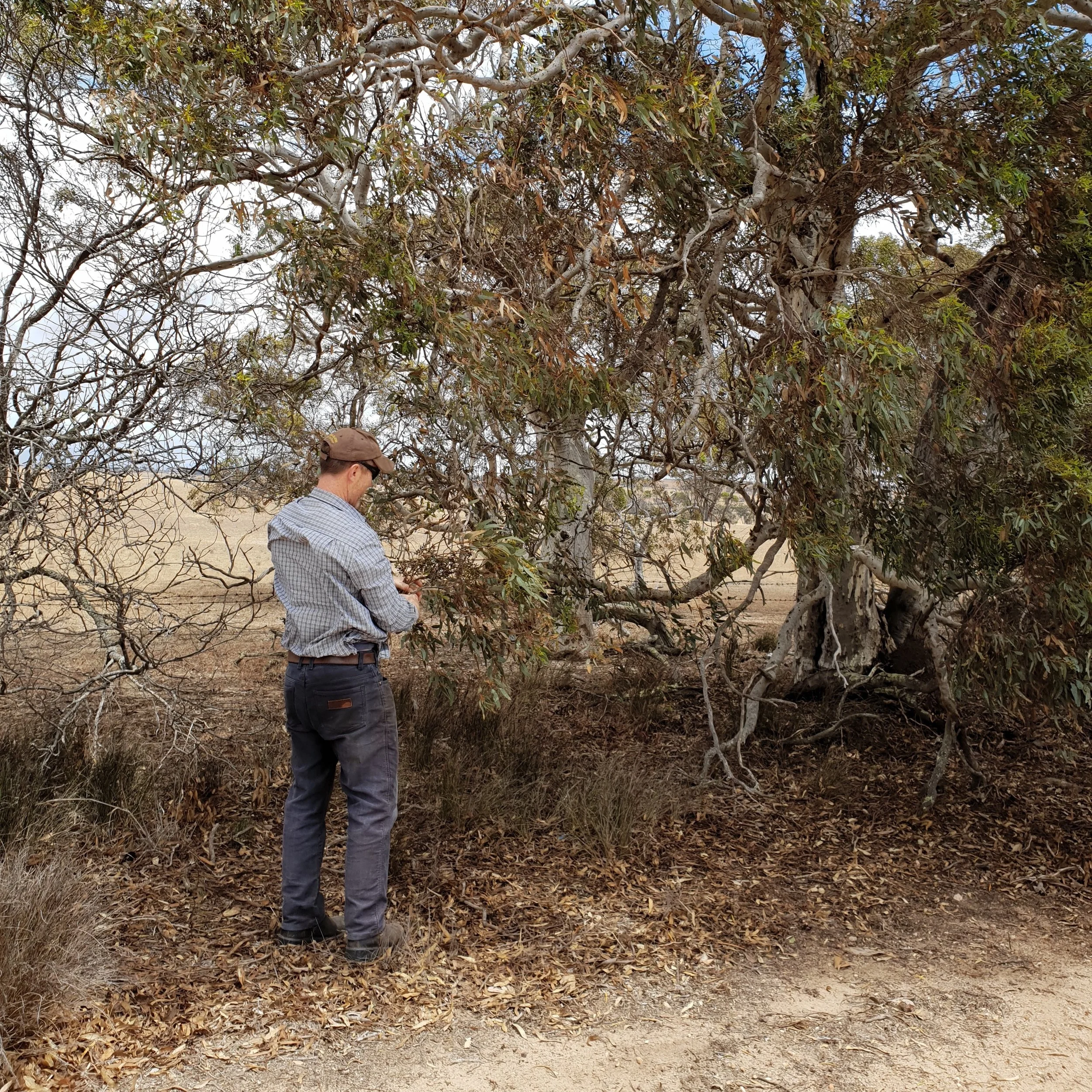 Autumn 2019 Newsletter Out Now