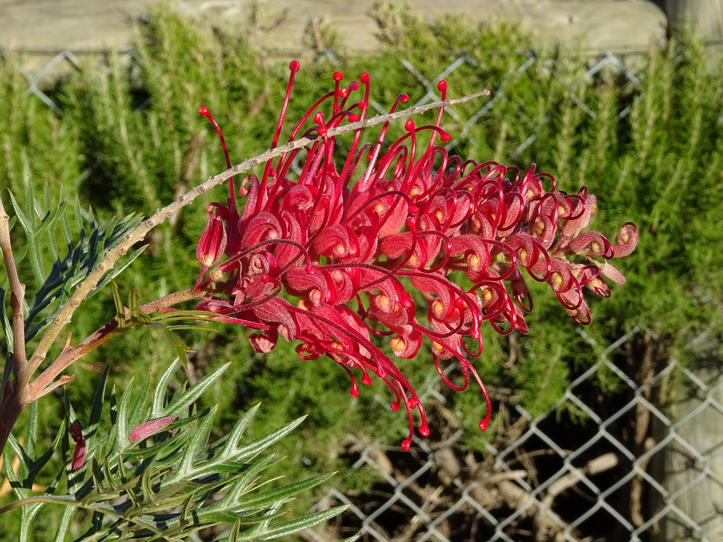 Newsletter - February 2022