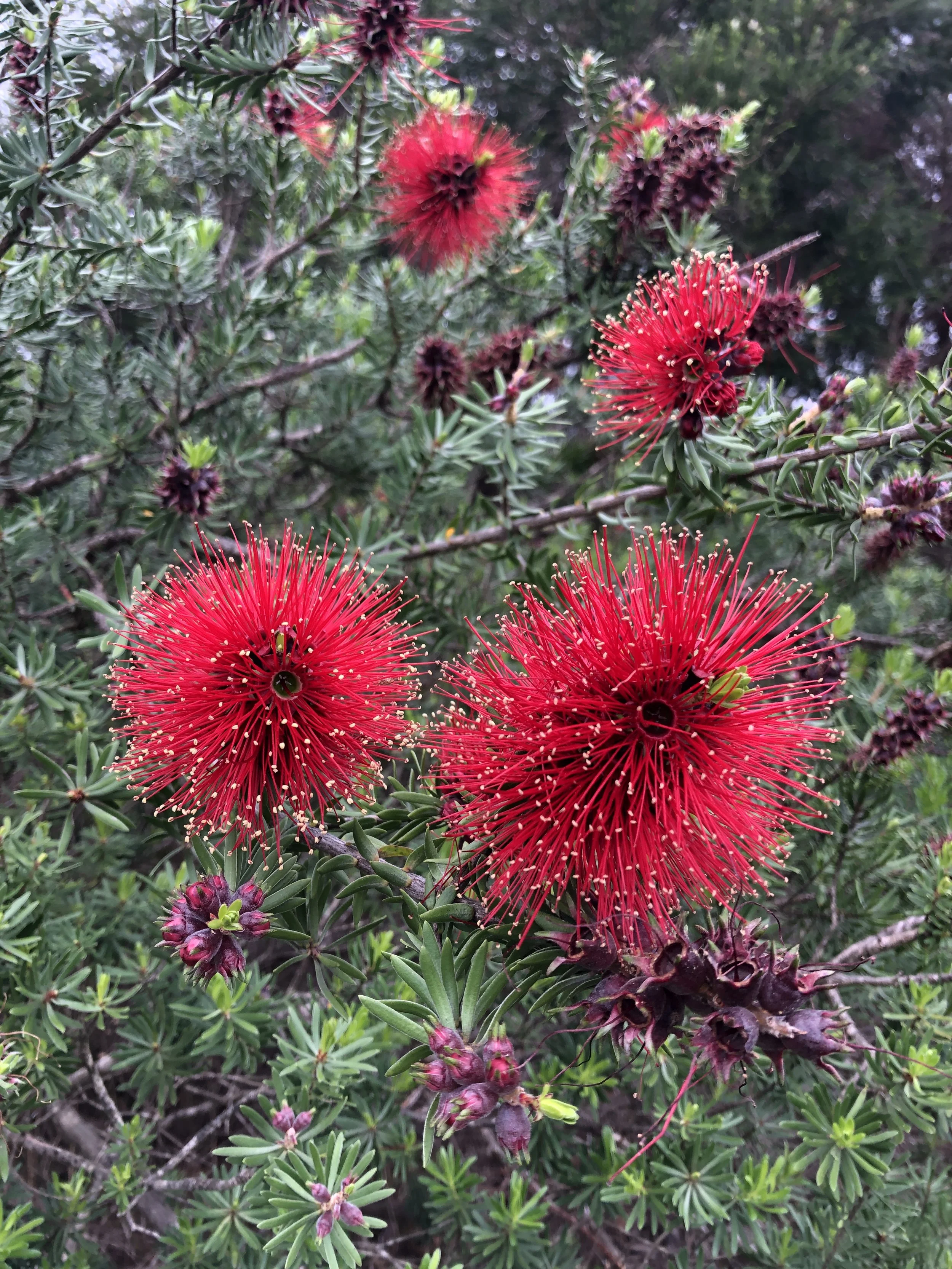 Newsletter - September 2022 