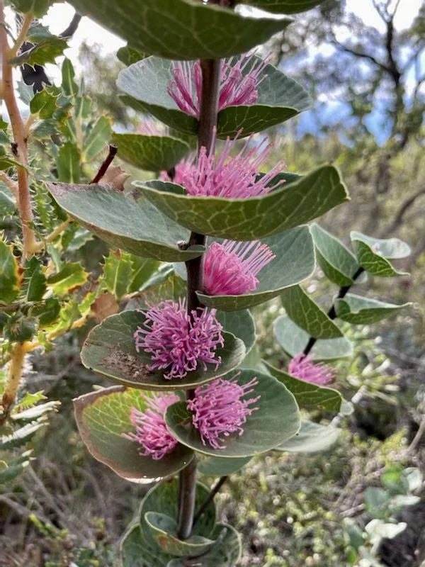 Newsletter - August 2022