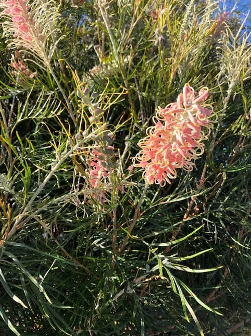 Newsletter February 2023