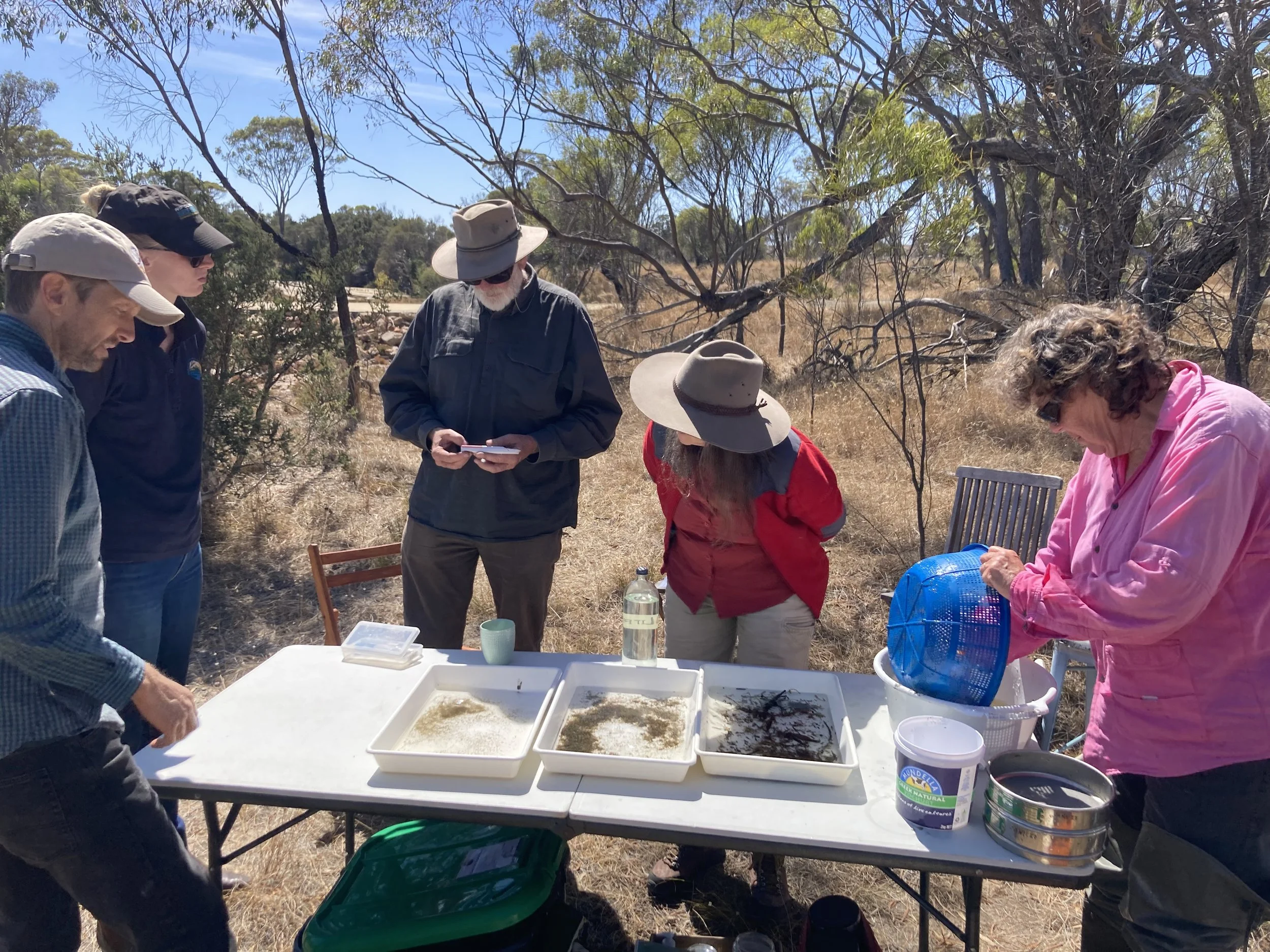 Newsletter - June 2023 