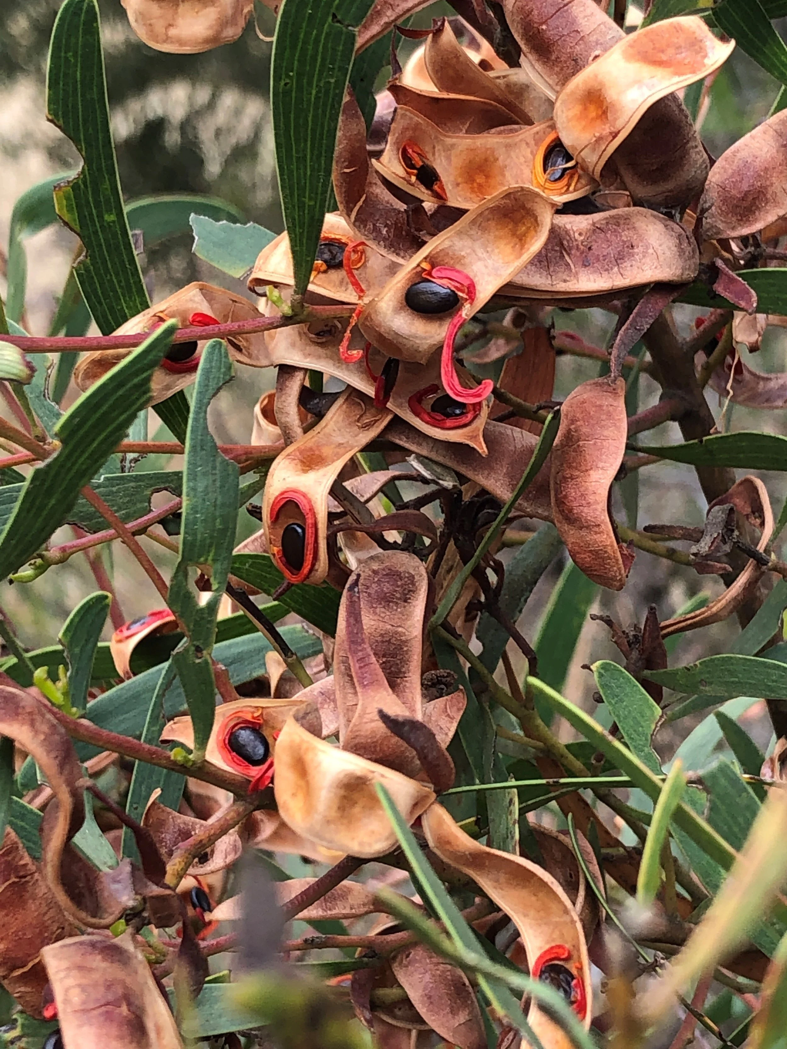 Newsletter January 2024