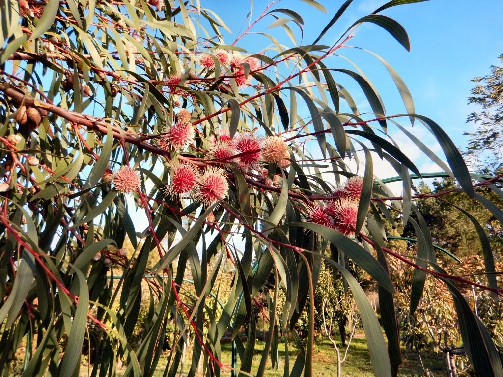 We're Hiring! Finance &amp; Admin Officer