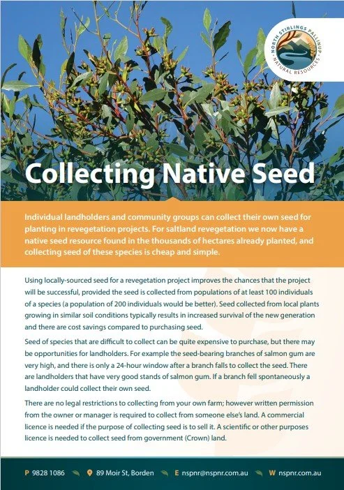 Collecting Native Seed — North Stirlings Pallinup Natural Resources