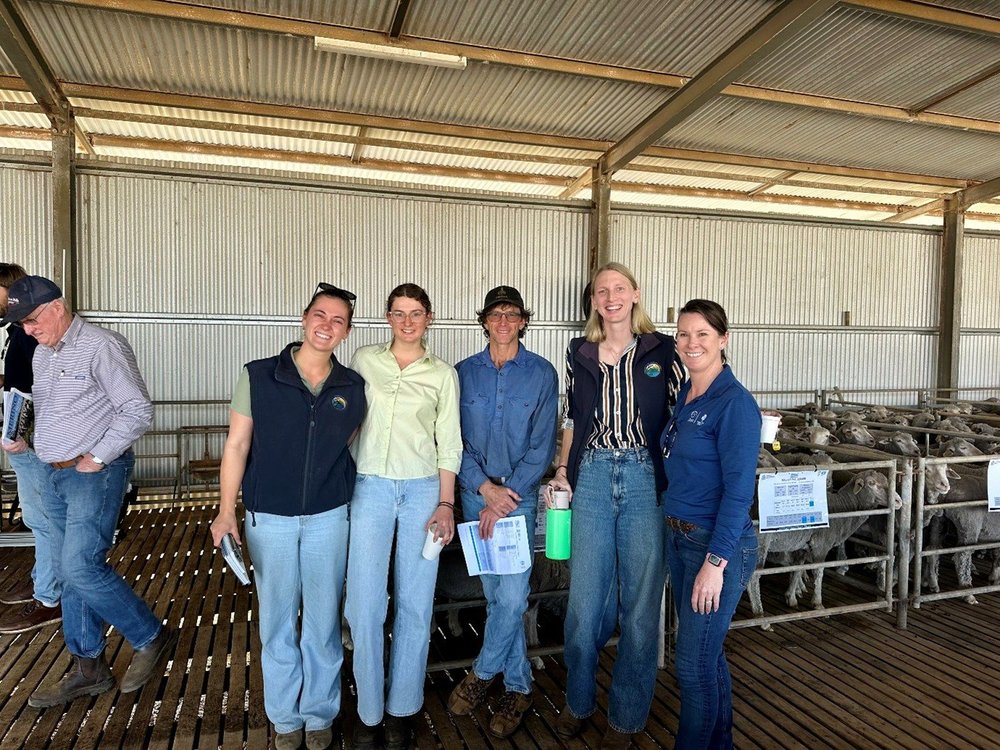 DPIRD Sheep Day 2025 @ Katanning — North Stirlings Pallinup Natural ...