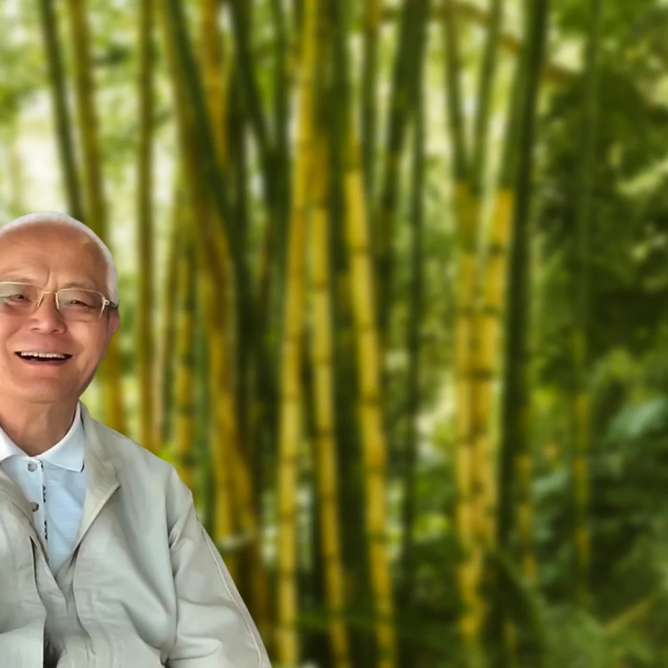 E Velo y nivel 0-Tao