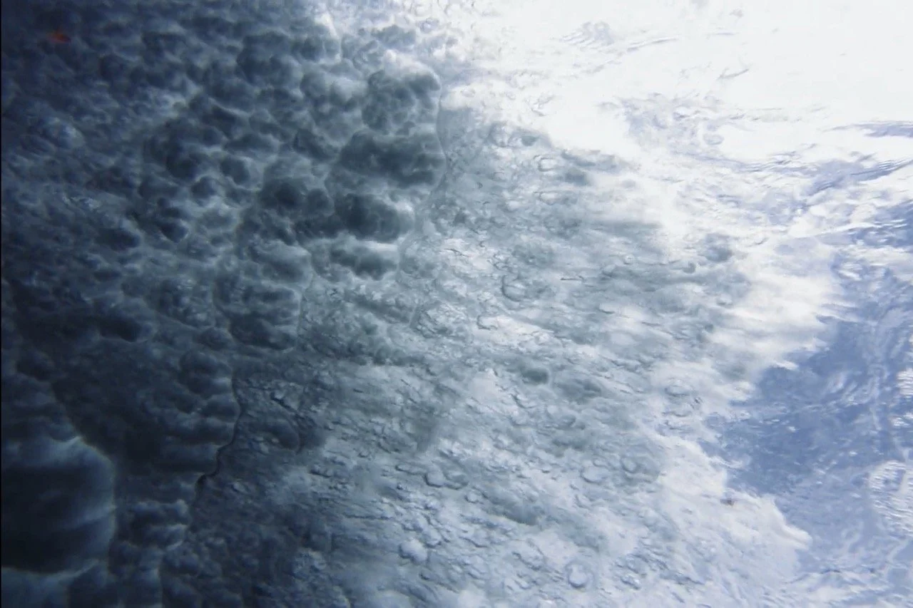 Screenshot 2025-06-03 at 12.59.36 Large.jpeg