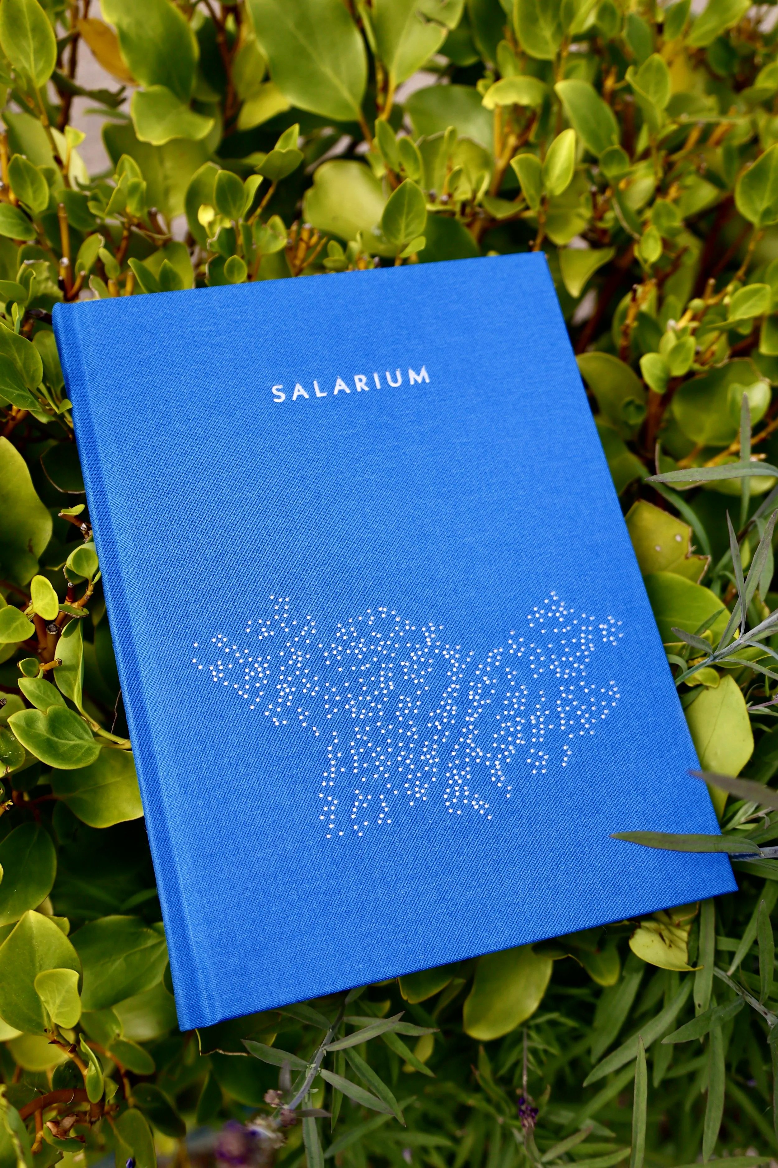 SummerIMMA_Salarium%40_patiguimaraes2.jpg