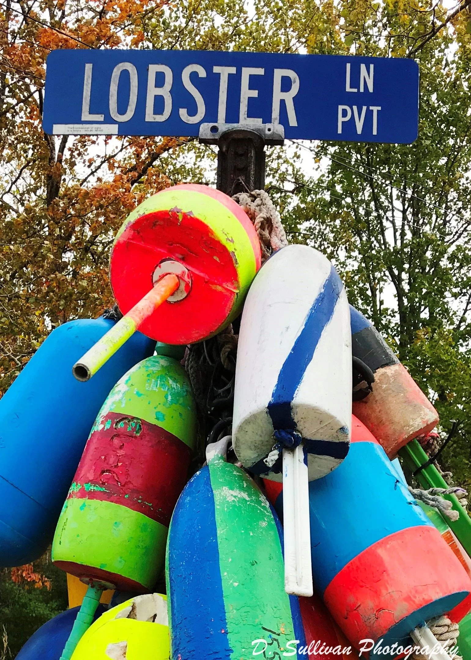 lobsterlane.JPG