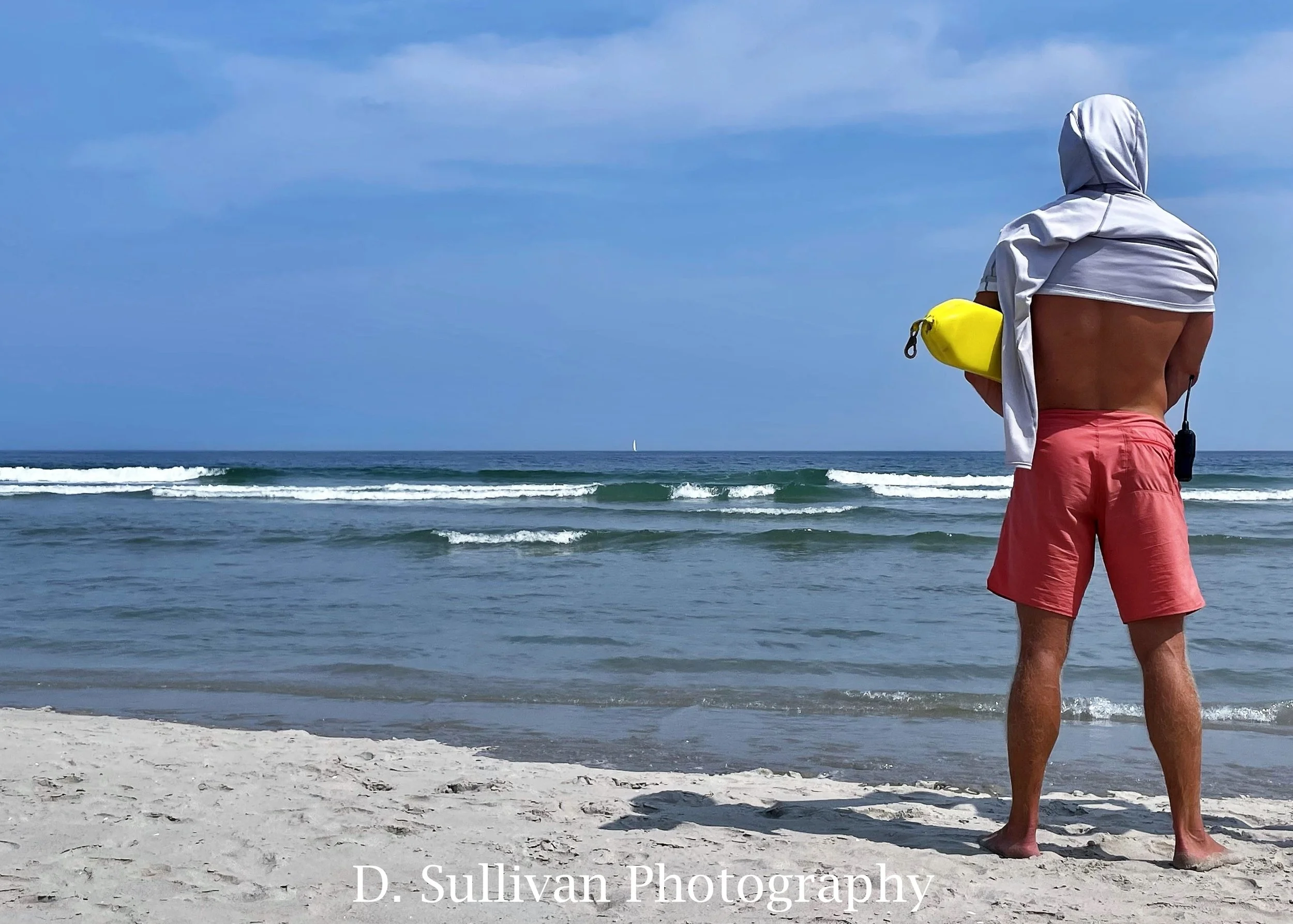 alifeguard.jpg