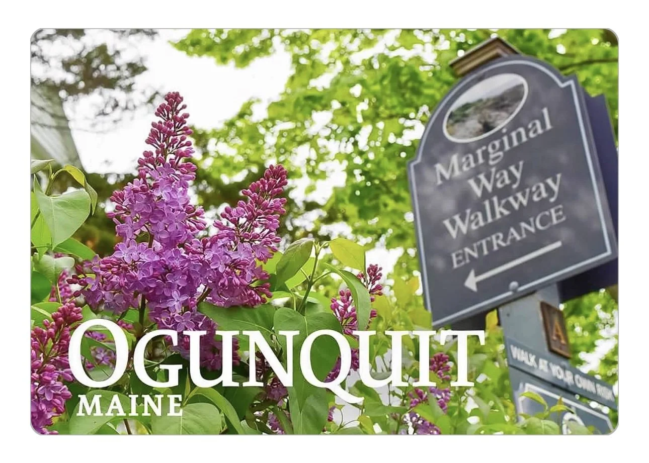 MW Lilacs.jpg