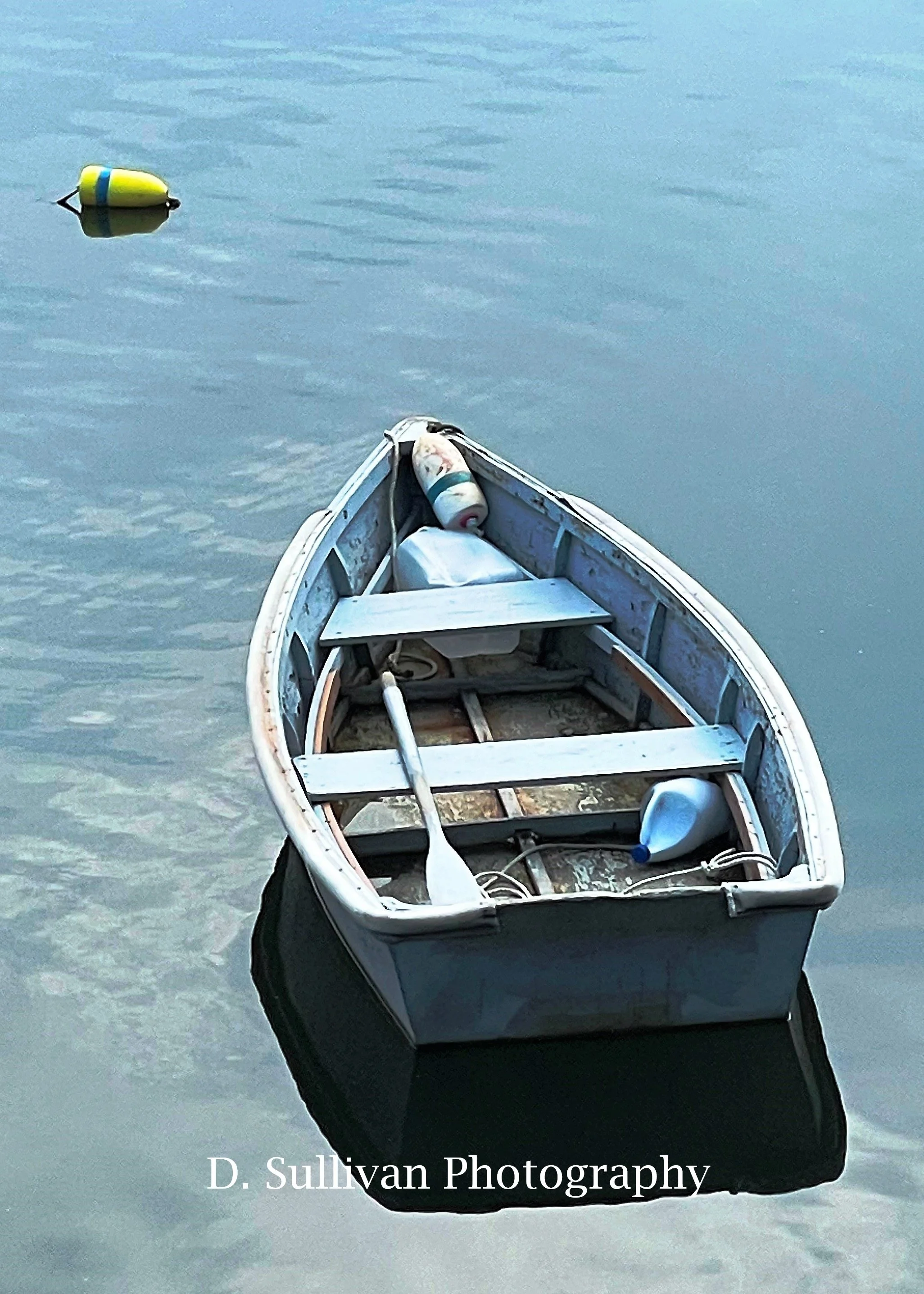apcskiff.jpg