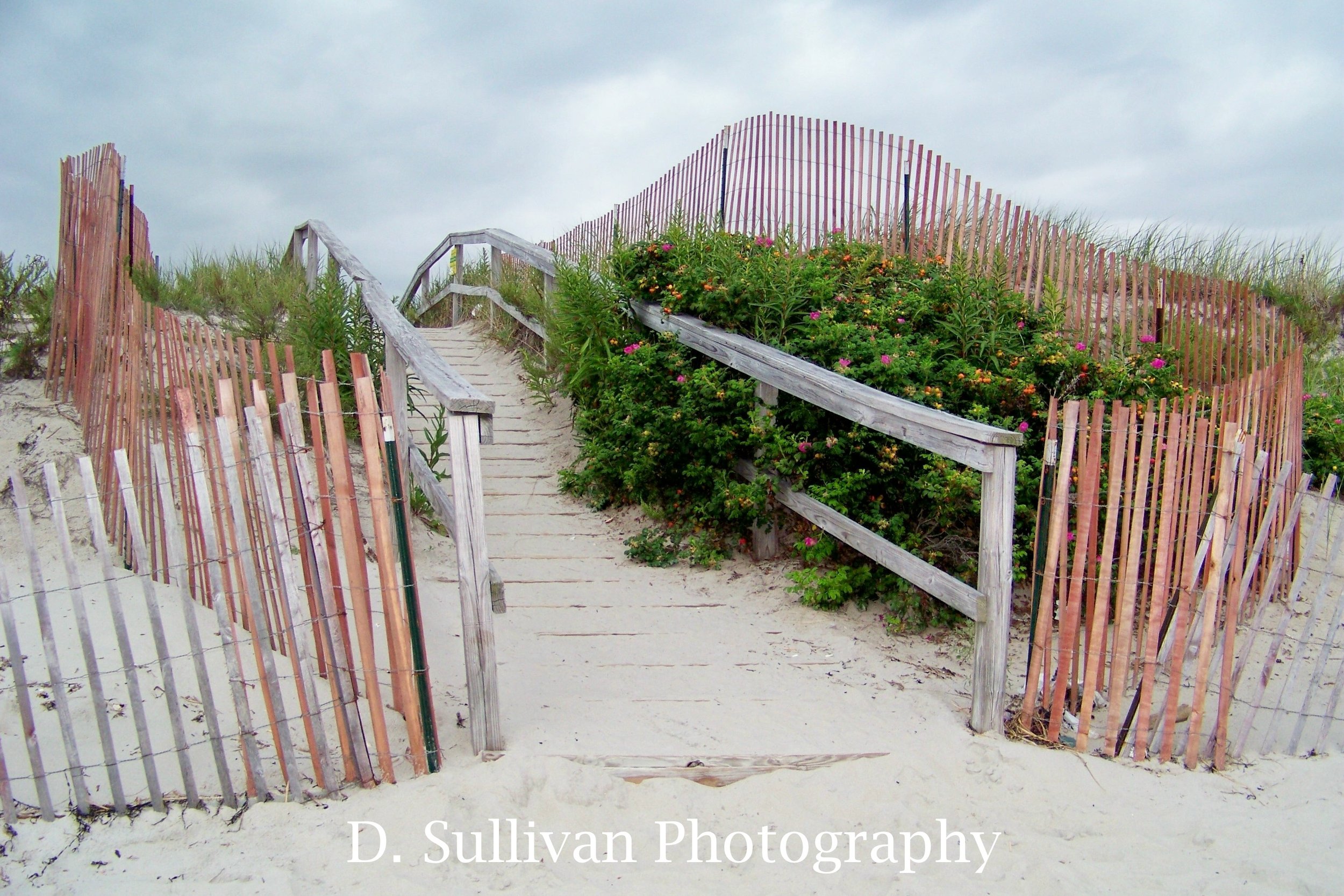 abchwalkway.jpg