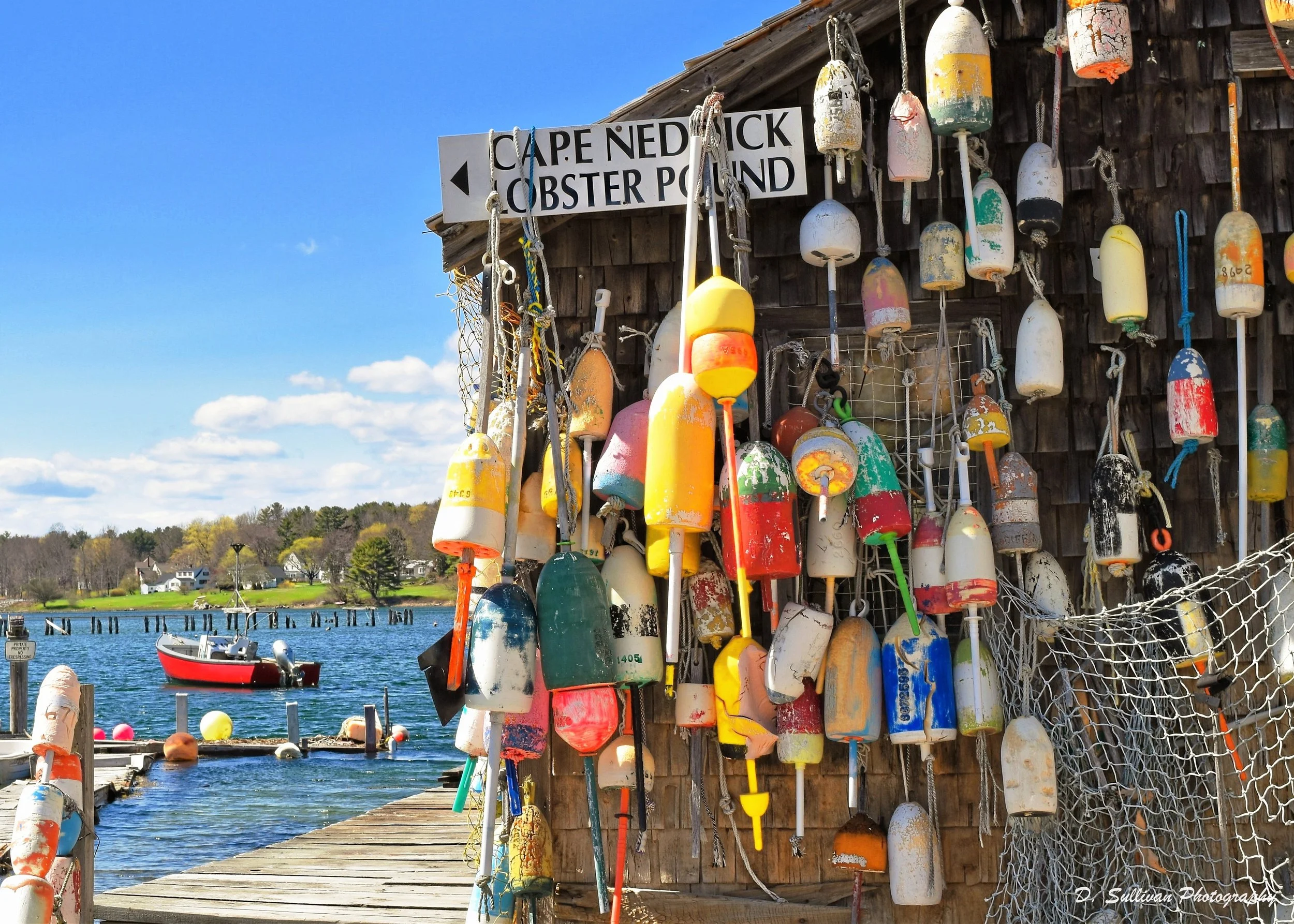 lobsterpoundl.JPG