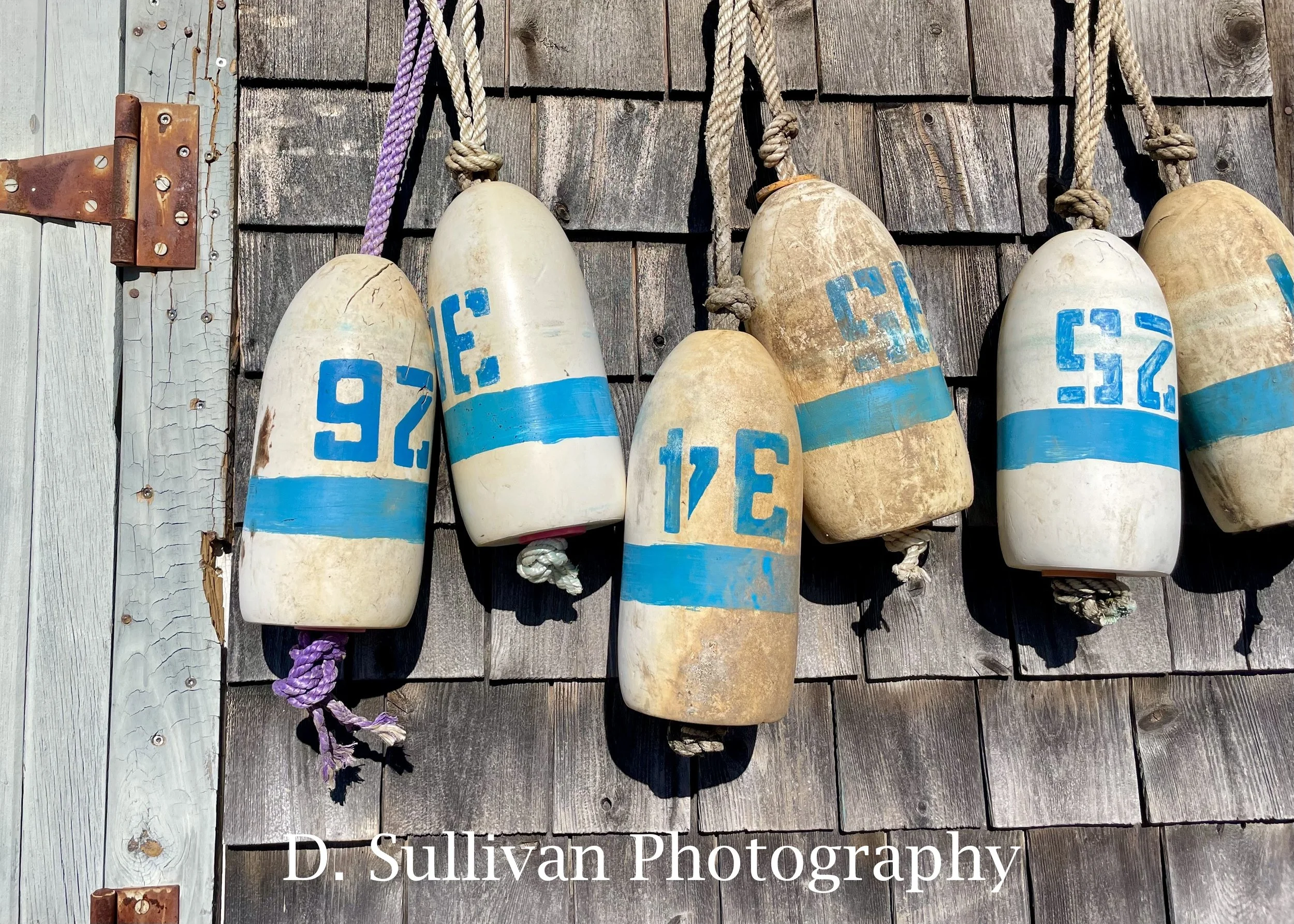 acovebuoys.jpg