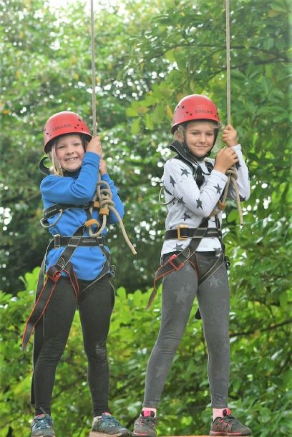 Viney Hill Discovery