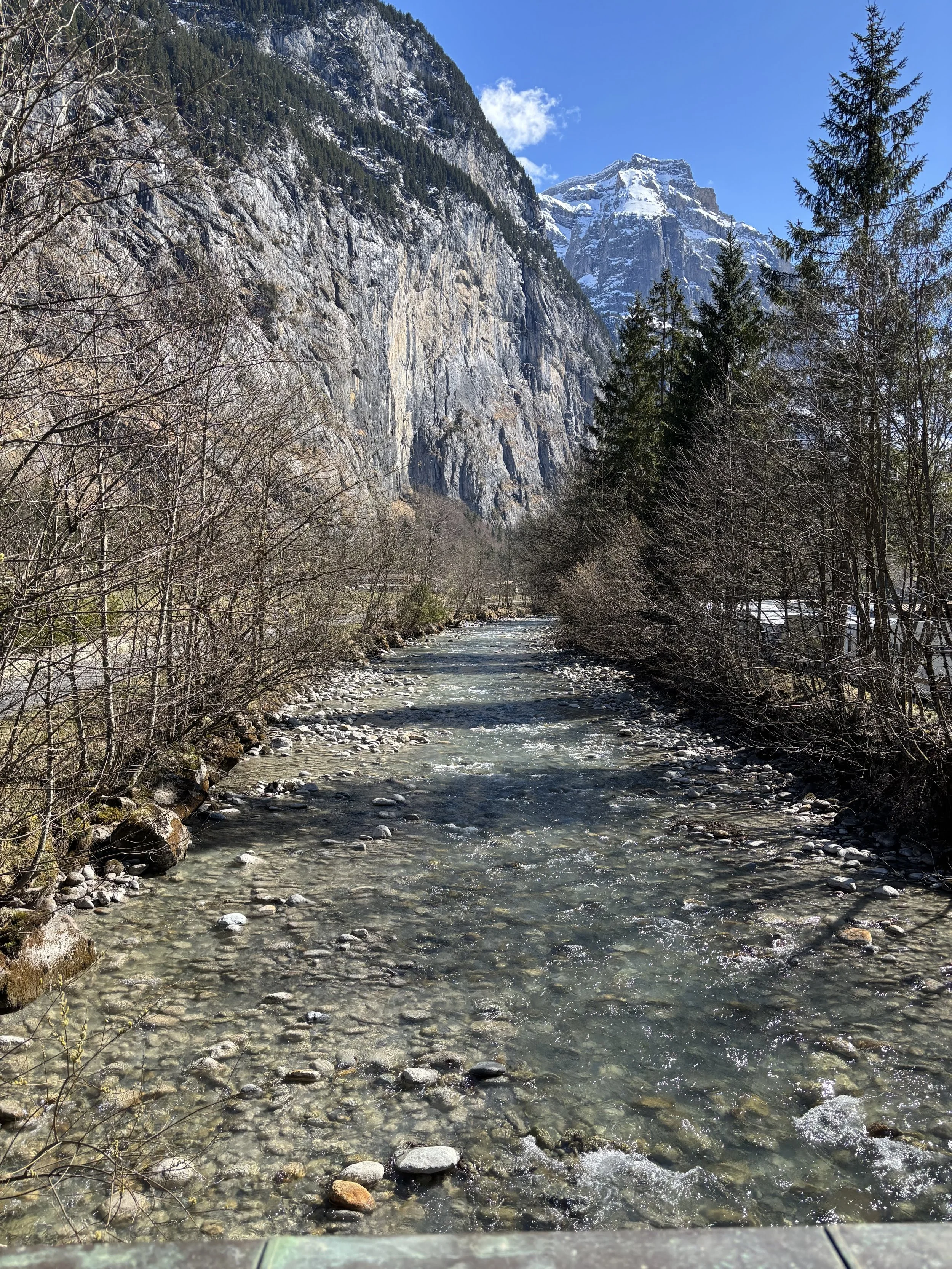 IMG_3649.jpg