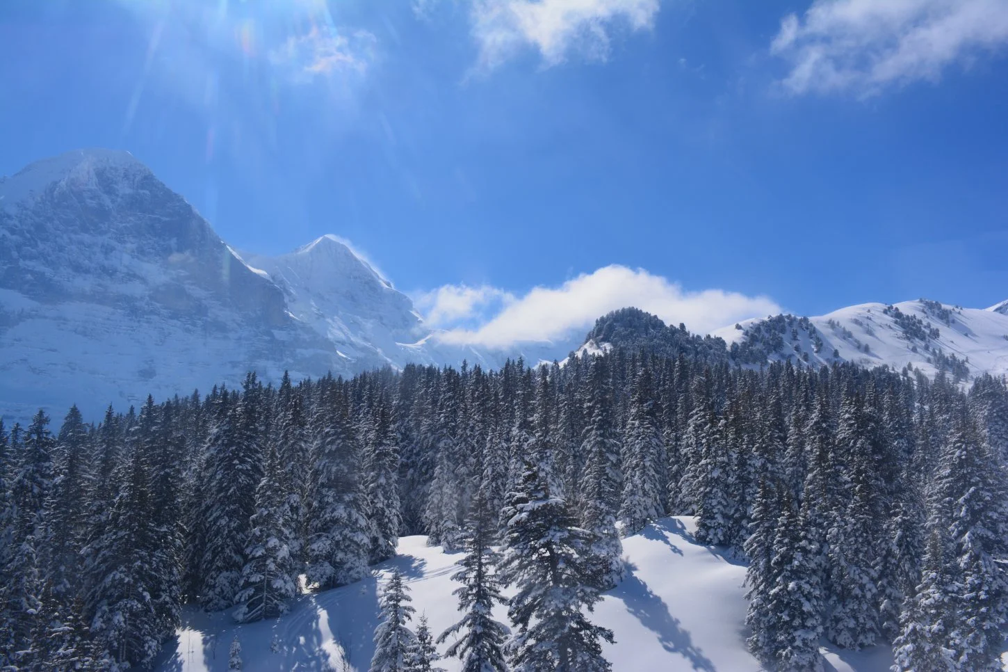 skiing in switzerland.jpeg