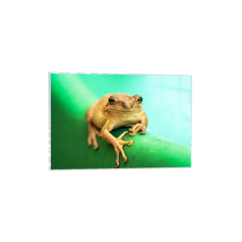 ptq_17_3_0_1_7894_5262_0_false_ffffff_0_0_.png