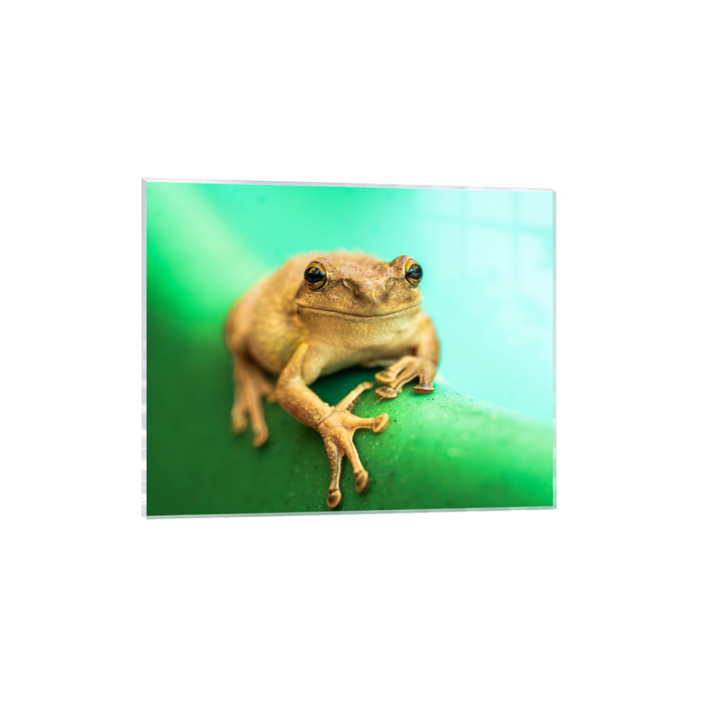 ptq_17_6_656_0_6581_5265_0_false_ffffff_0_0_.png