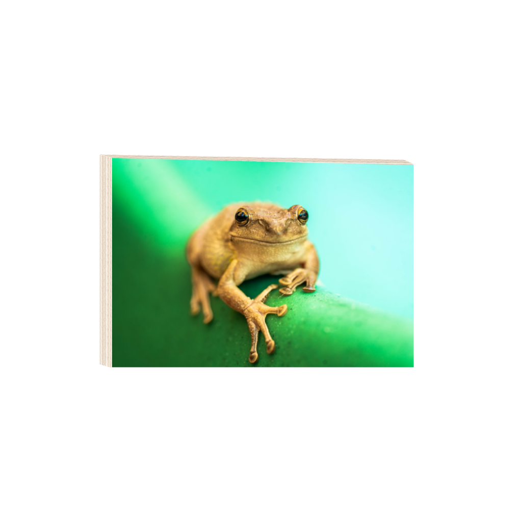 ptq_29_3_0_1_7894_5262_0_false_ffffff_0_0_.png