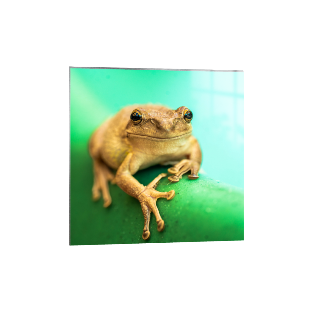 ptq_13_0_1314_0_5265_5265_0_false_ffffff_0_0_.png