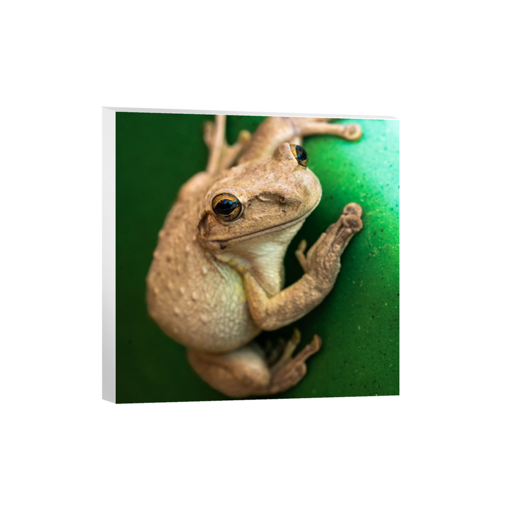 ptq_7_0_0_1324_5304_5304_0_false_ffffff_0_0_.png