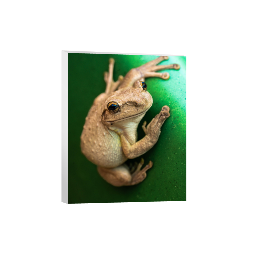 ptq_7_6_0_661_5304_6630_0_false_ffffff_0_0_.png